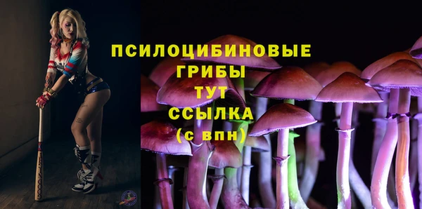 а пвп мука Абаза
