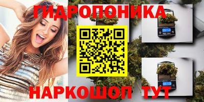 винт Новозыбков