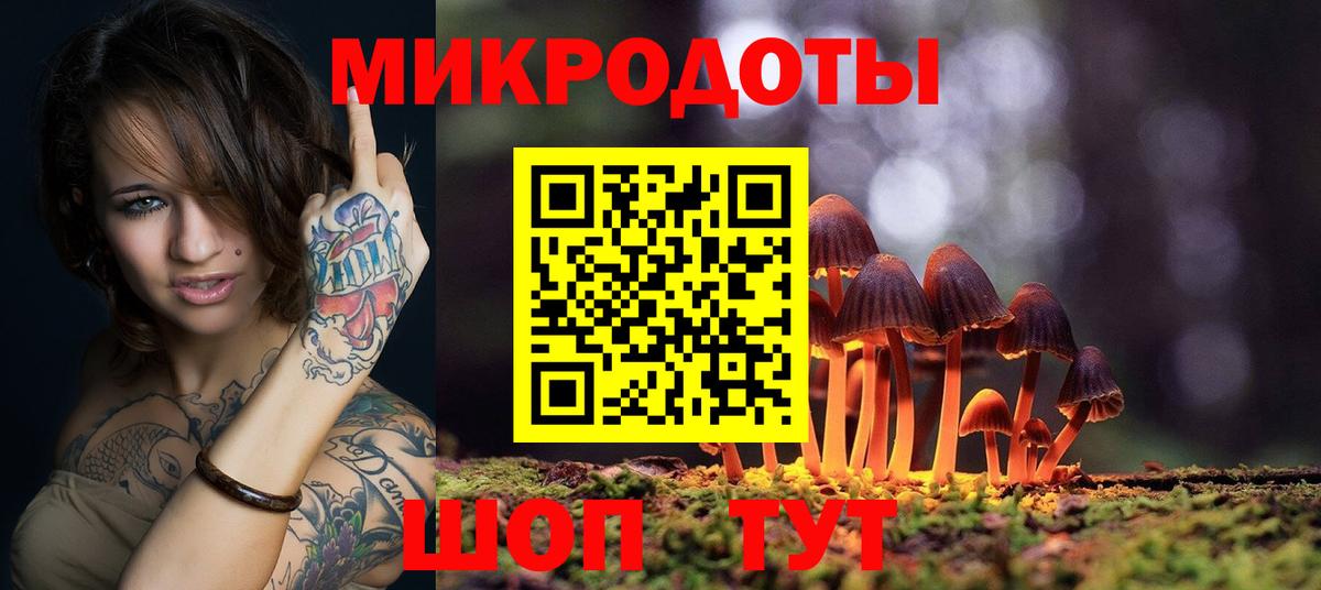 Псилоцибиновые грибы Cubensis Черногорск